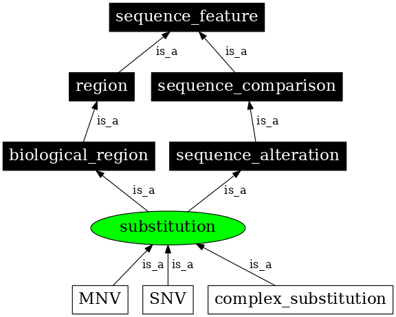 Graph image for SO:1000002