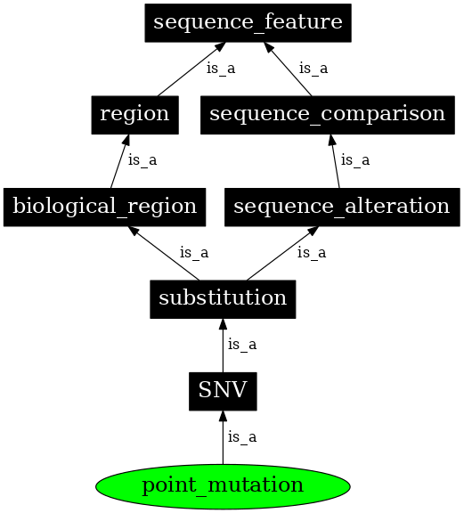 Graph image for SO:1000008