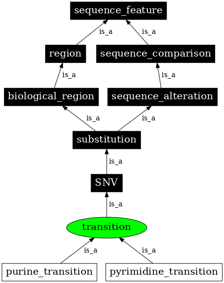 Graph image for SO:1000009