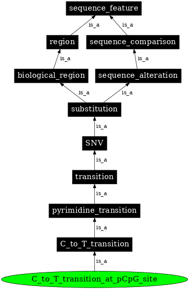 Graph image for SO:1000012