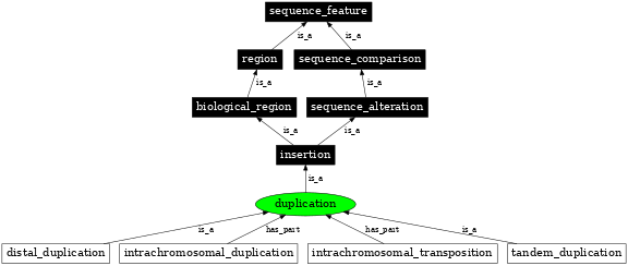 Graph image for SO:1000035