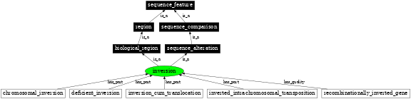 Graph image for SO:1000036