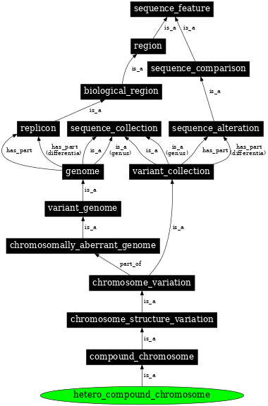 Graph image for SO:1000140