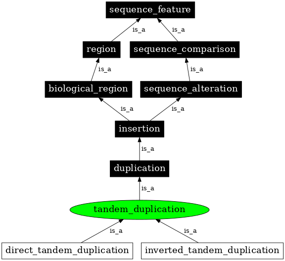 Graph image for SO:1000173