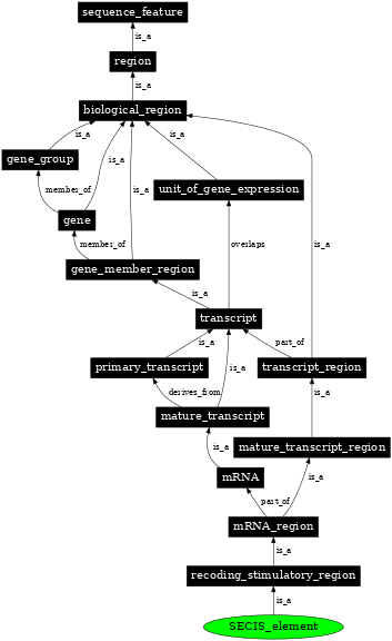 Graph image for SO:1001274