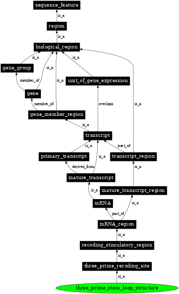 Graph image for SO:1001279