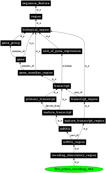 Graph image for SO:1001280