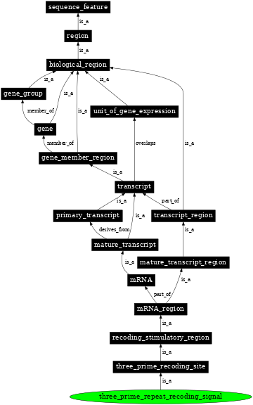 Graph image for SO:1001286