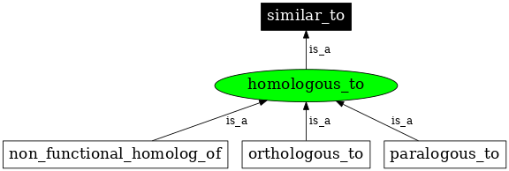 Graph image for homologous_to