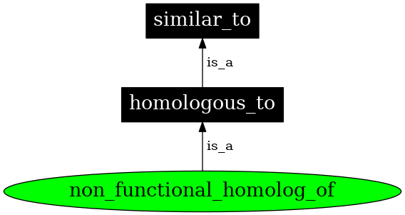 Graph image for non_functional_homolog_of