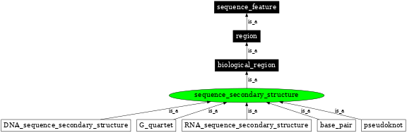 Graph image for SO:0000002