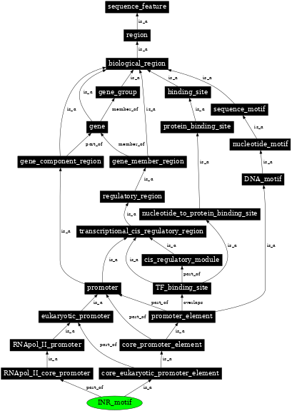 Graph image for SO:0000014