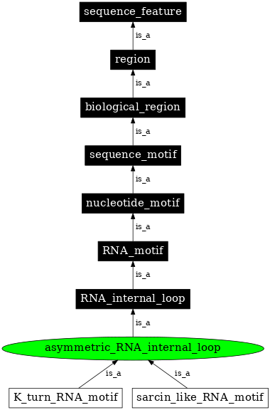 Graph image for SO:0000021