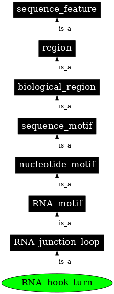 Graph image for SO:0000027