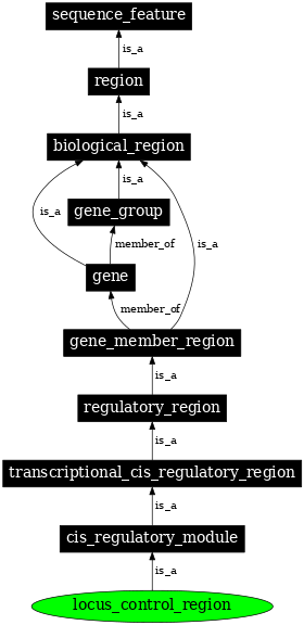 Graph image for SO:0000037