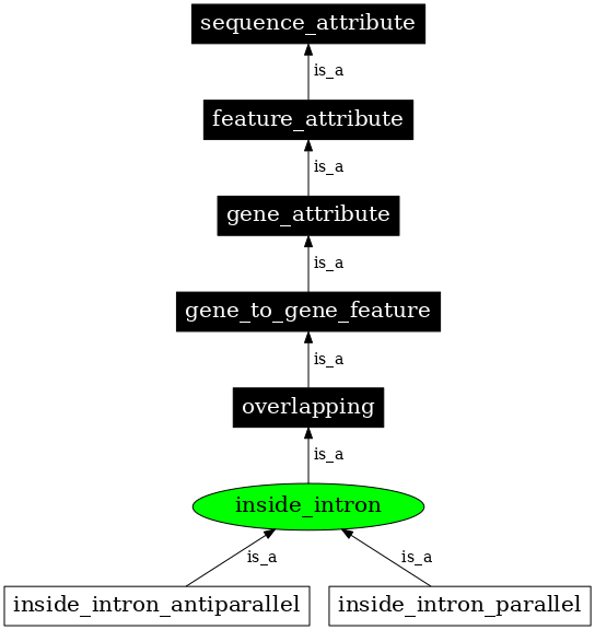 Graph image for SO:0000069