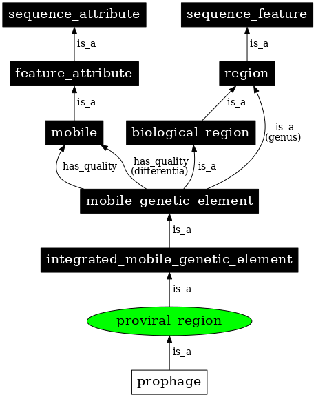 Graph image for SO:0000113