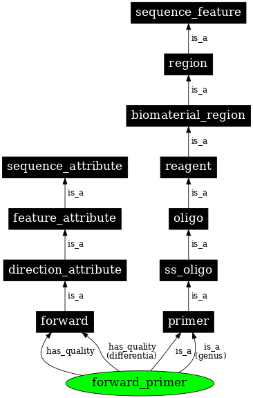 Graph image for SO:0000121