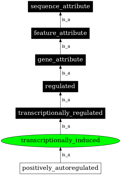 Graph image for SO:0000125