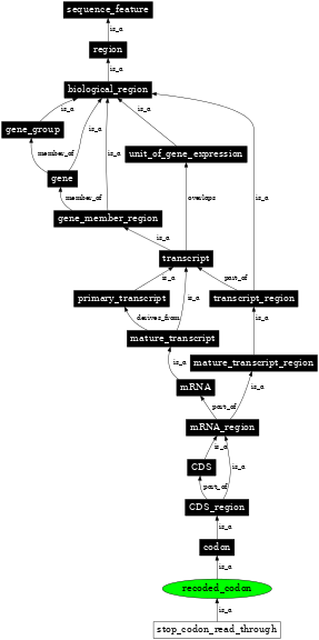 Graph image for SO:0000145