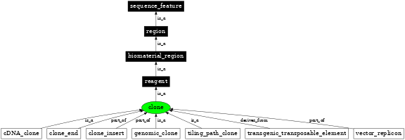 Graph image for SO:0000151