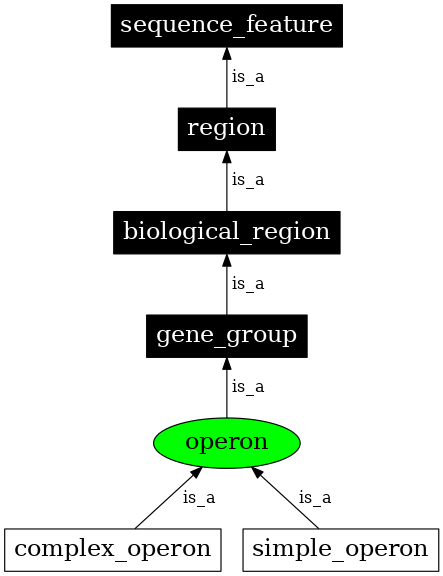 Graph image for SO:0000178