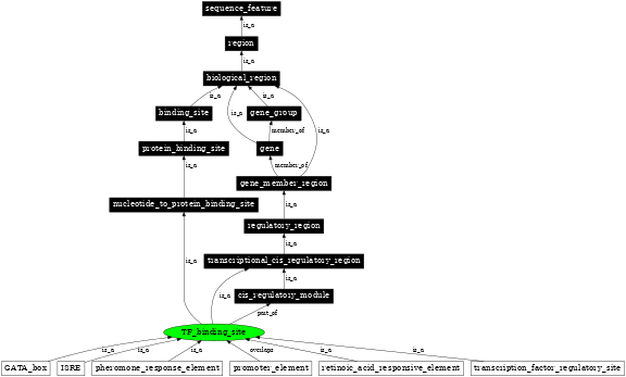 Graph image for SO:0000235