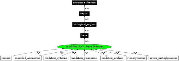 Graph image for SO:0000250