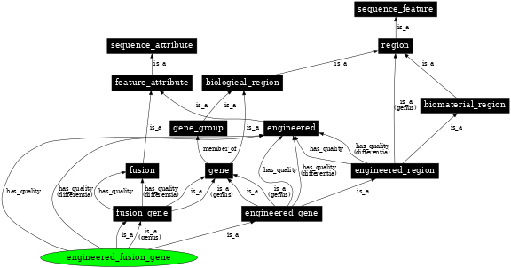 Graph image for SO:0000288