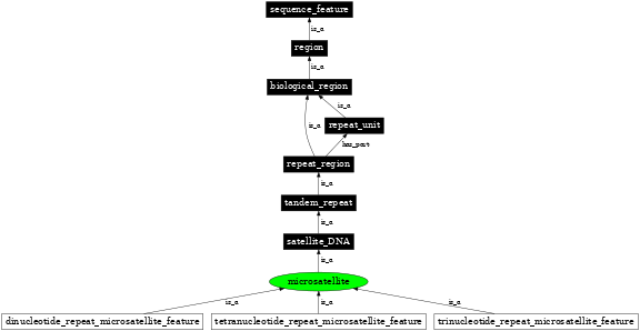 Graph image for SO:0000289