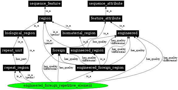 Graph image for SO:0000293