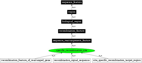 Graph image for SO:0000299