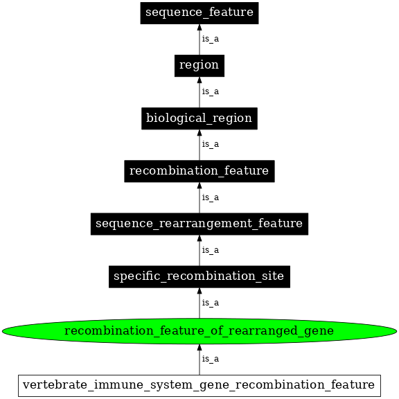 Graph image for SO:0000300