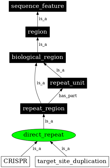 Graph image for SO:0000314