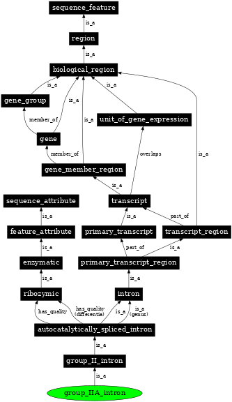 Graph image for SO:0000381