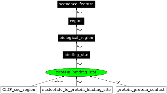 Graph image for SO:0000410