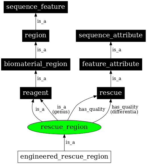 Graph image for SO:0000411