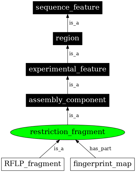 Graph image for SO:0000412