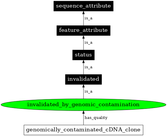 Graph image for SO:0000414