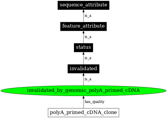 Graph image for SO:0000415