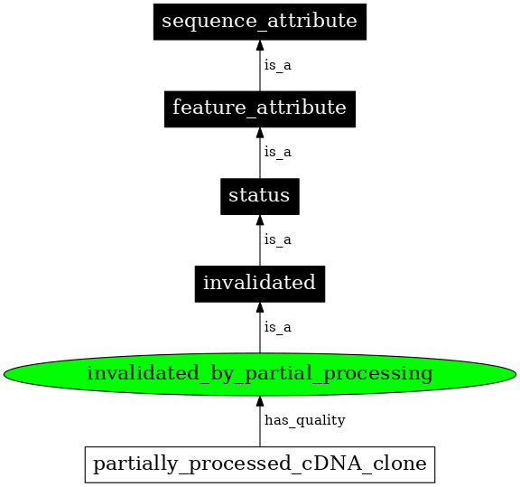 Graph image for SO:0000416