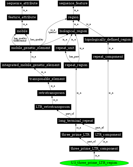 Graph image for SO:0000431