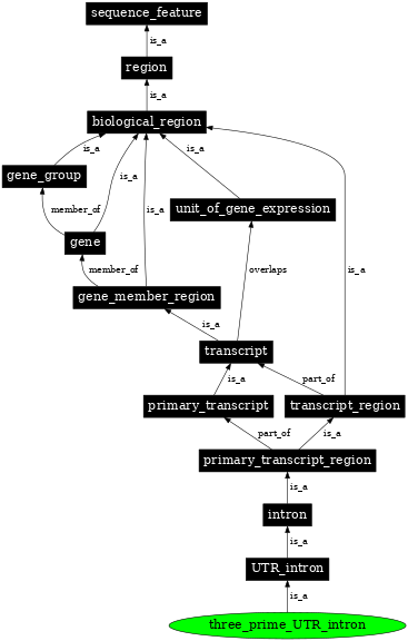 Graph image for SO:0000448