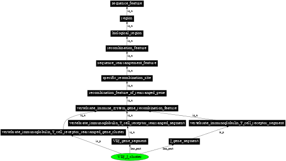 Graph image for SO:0000488