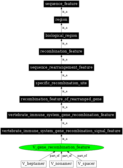 Graph image for SO:0000538