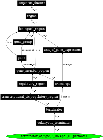 Graph image for SO:0000615