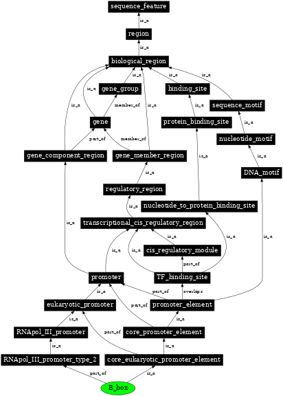 Graph image for SO:0000620