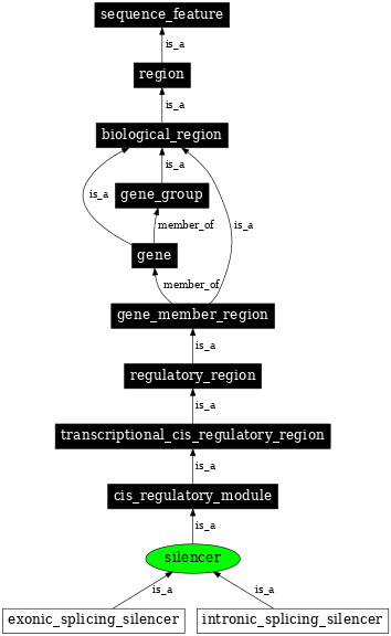 Graph image for SO:0000625