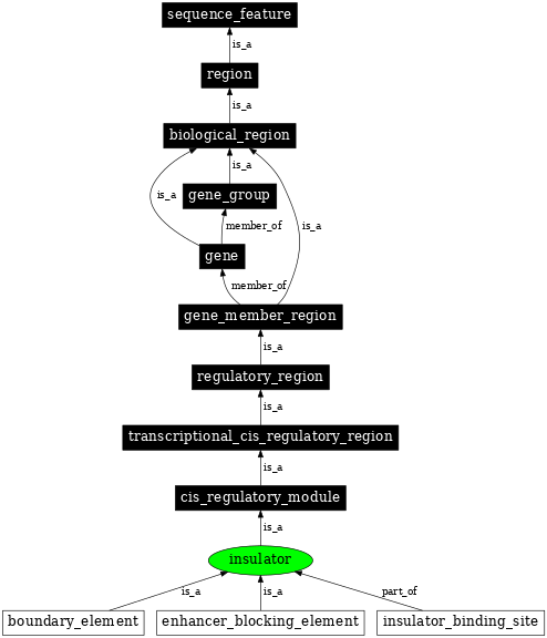 Graph image for SO:0000627