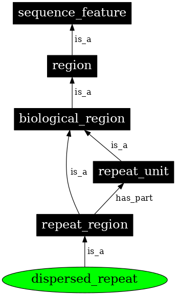 Graph image for SO:0000658